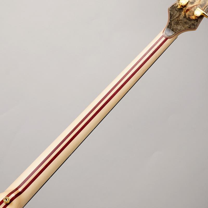 ALEMBIC SCSB4 Buckeye Resin [Stanley Clark Signature Deluxe w/Side LED's Blue]_5