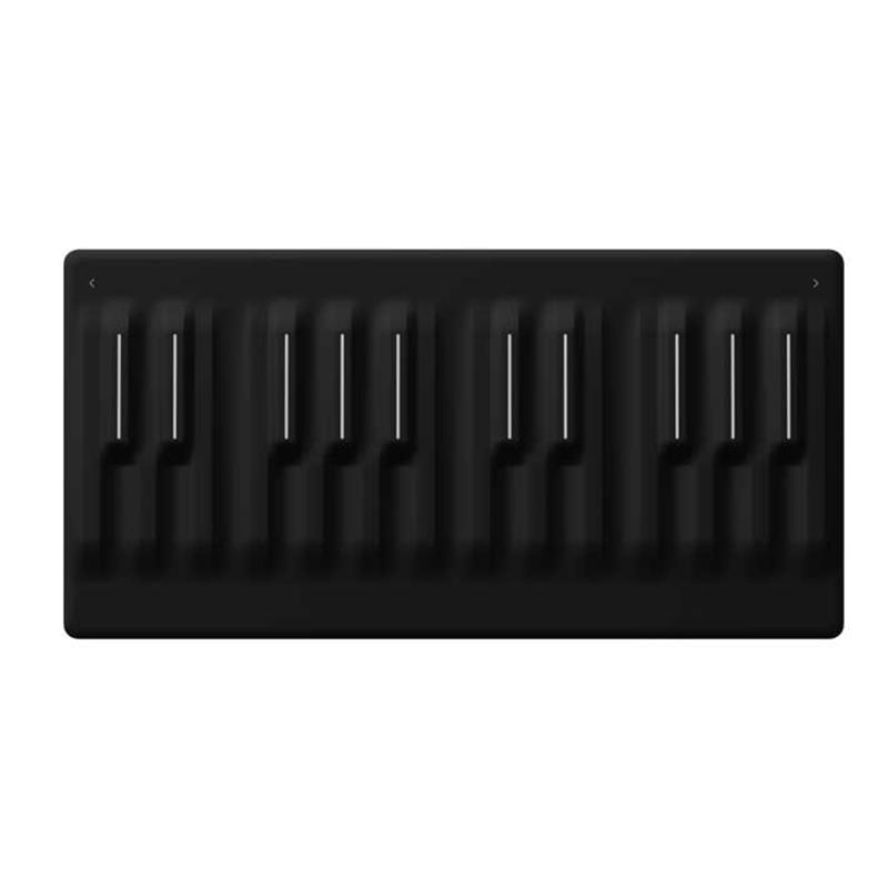 ROLI Seaboard M (ロリ)(24鍵・MIDIキーボード)(シームレス鍵盤
