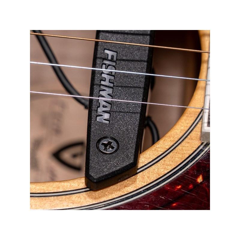 FISHMAN Rare Earth Humbucking フィッシュマン : 21722 : イケベ楽器 
