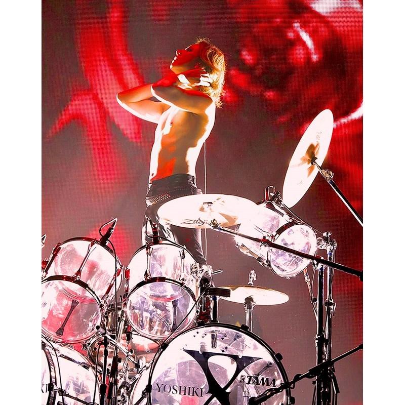 TAMA TAMA XY146 [X JAPAN YOSHIKI Signature Snare Drum]【お取り寄せ 