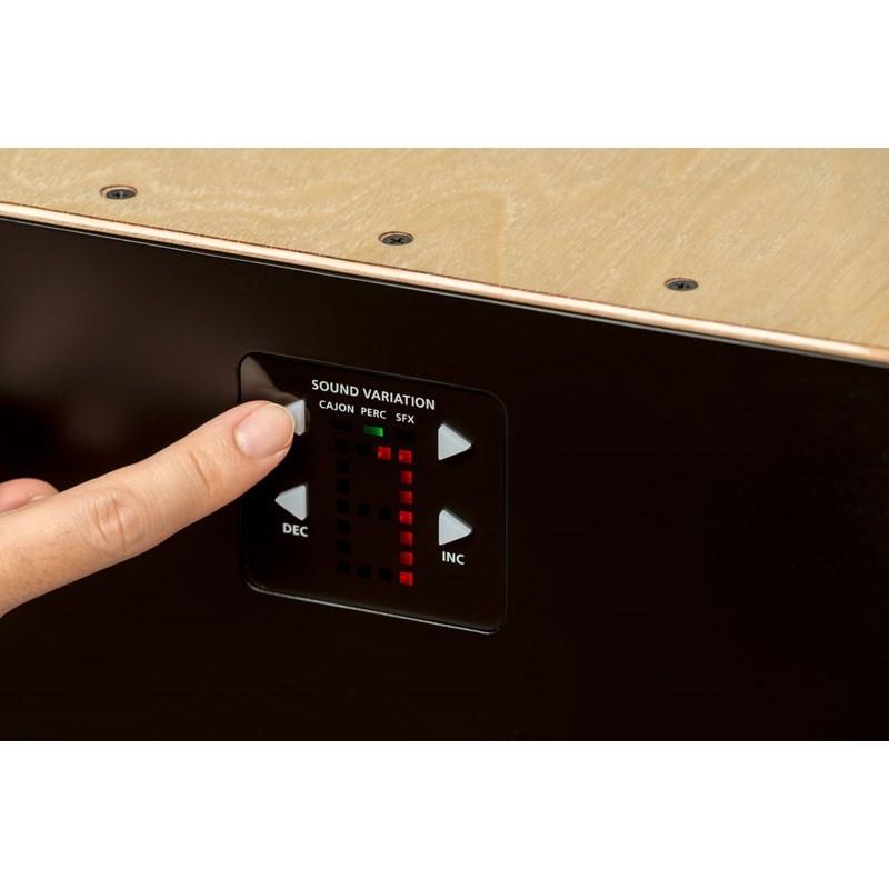 ローランド（Roland） Roland EC-10 【Electronic Layered Cajon