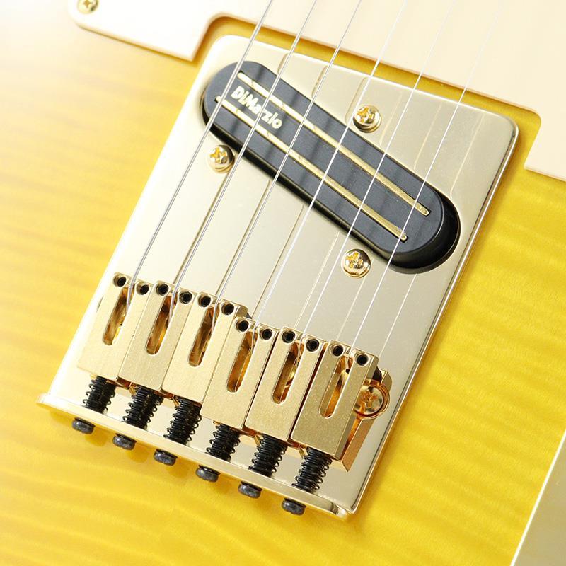 Fender（フェンダー） (Japan Exclusive Series) Richie Kotzen