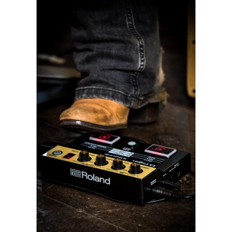 Roland EC-10M [ELCajon Mic Processor] | ローランド | 09