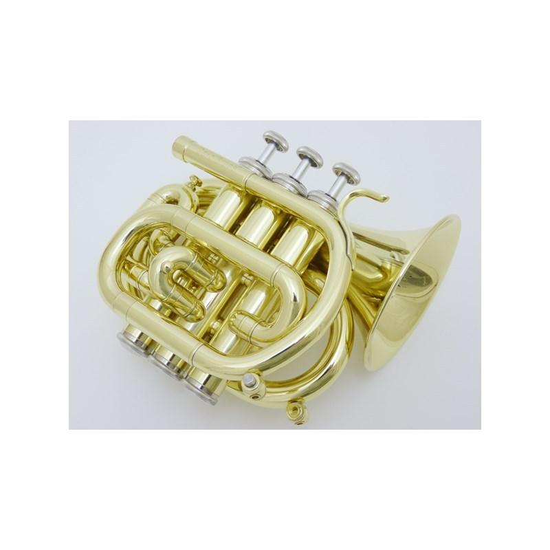 CAROL BRASS キャロルブラス / MINI N1000 CL 【C ミニポケット