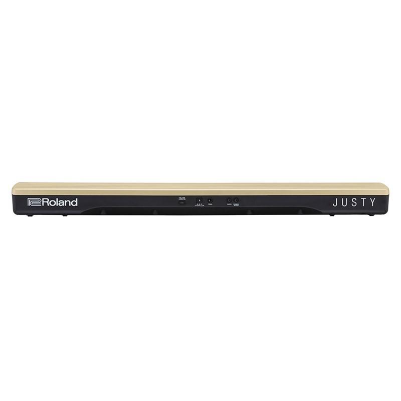 Roland JUSTY HK-100_2