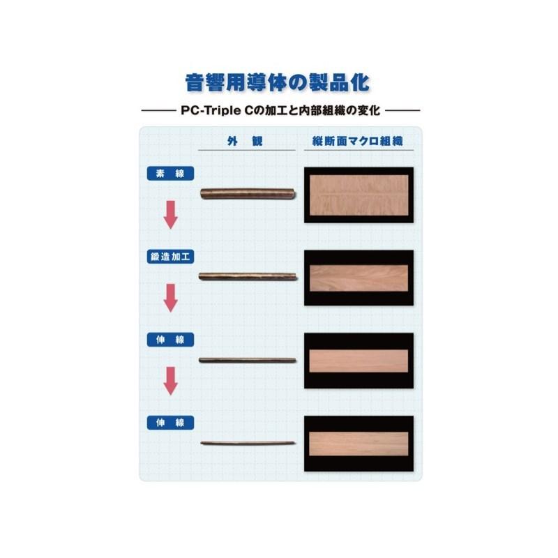 Acoustic Revive type A Digi Link Mini - Digi Link Mini [155cm] 【お取り寄せ品】 |  | 01