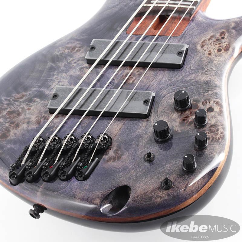 Ibanez（アイバニーズ） Ibanez Bass Workshop SRMS805-DTW : イケベ