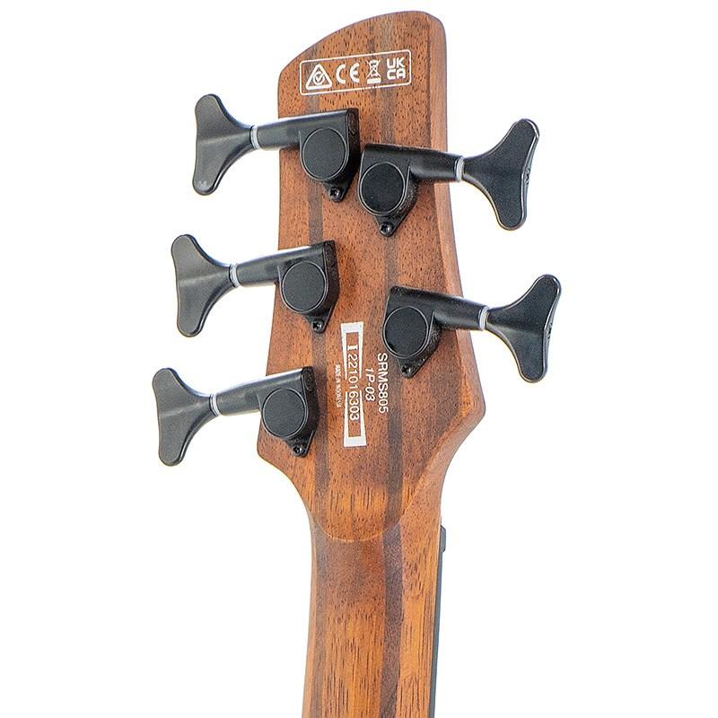 ベース Ibanez SRMS805 DTW Ibanez Soundgear SRMS805-DTW « Electric Bass Guitar
