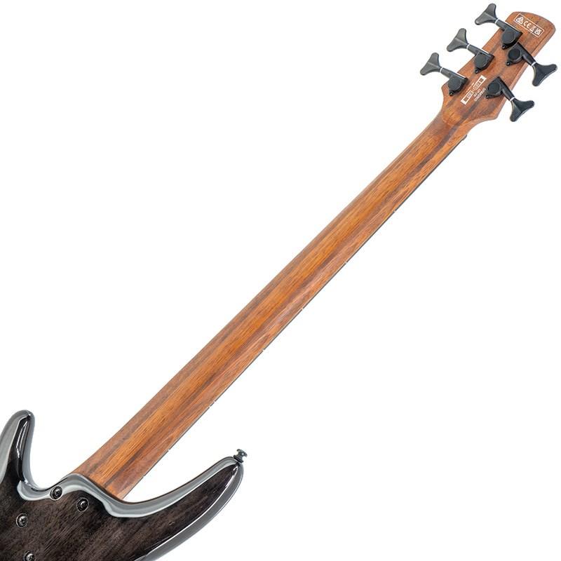 Ibanez（アイバニーズ） Ibanez Bass Workshop SRMS805-DTW : イケベ