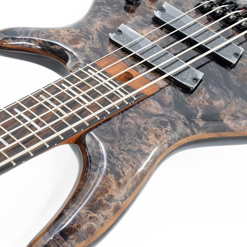 ベース Ibanez SRMS805 DTW Ibanez アイバニーズ SRMS805 DTW 25%OFF! | ワタナベ楽器店 大阪店