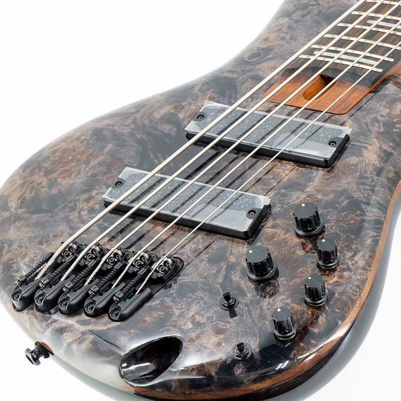 Ibanez Bass Workshop SRMS805-DTW : イケベ楽器店 - 通販