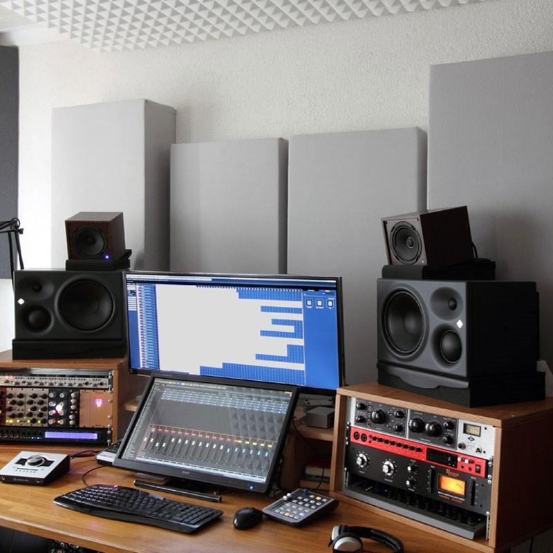 NEUMANN KH 310 A R G(1本)(ノイマン)(モニタースピーカー)(3ウェイ