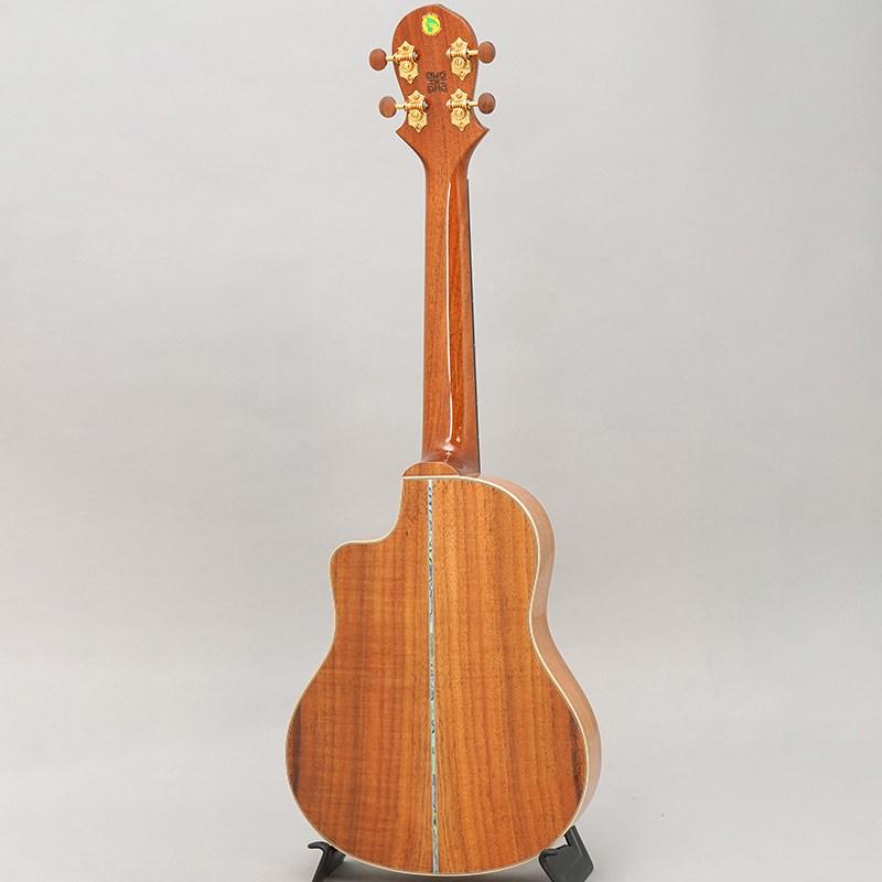 BIG ISLAND KX-TRCG KX Koa Tenor Cutaway ビッグアイランド |  | 01