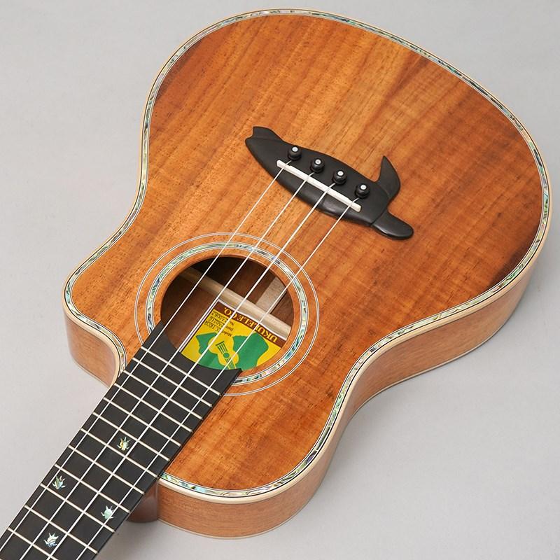 BIG ISLAND KX-TRCG KX Koa Tenor Cutaway ビッグアイランド |  | 04