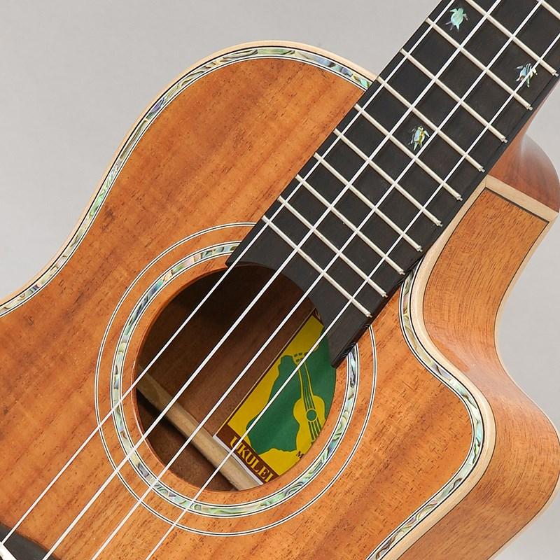 BIG ISLAND KX-TRCG KX Koa Tenor Cutaway ビッグアイランド |  | 06