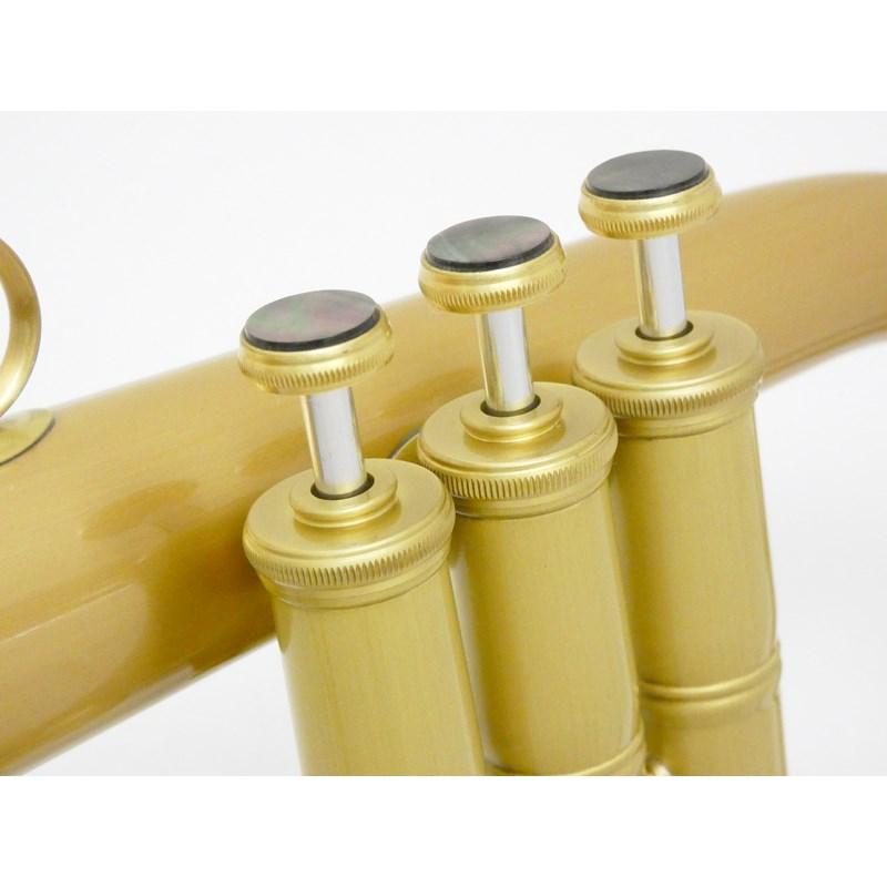 CAROL BRASS キャロルブラス / N6200 ALL-SATIN GB 【Bb フリューゲル ホルン】【出荷前調整で安心】  【先取り大特価セール】 |  | 04