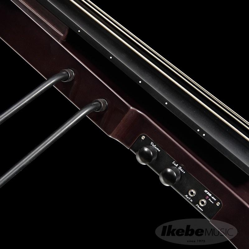 Hallstatt WBSE-1000 (TBK) 【スタンド付きアップライトベース初心者用セット】 |  | 04