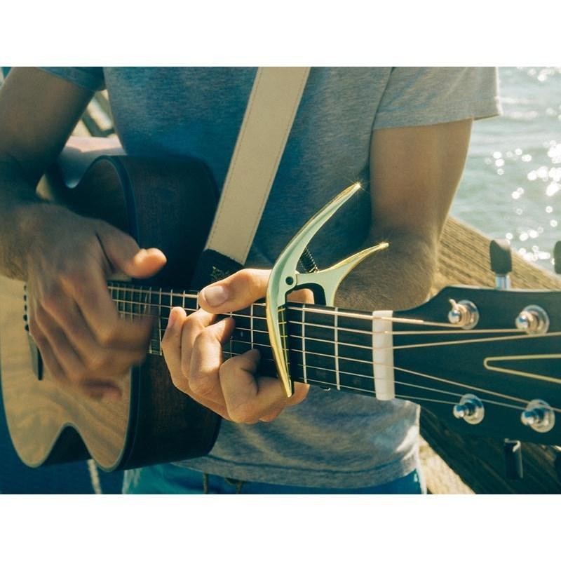 ERNIE BALL AXIS CAPO #9603 (GOLD) :650219:イケベ楽器店 通販 アーニーボール ERNIE BALL 9603 AXIS CAPO GOLD ギター用カポタスト