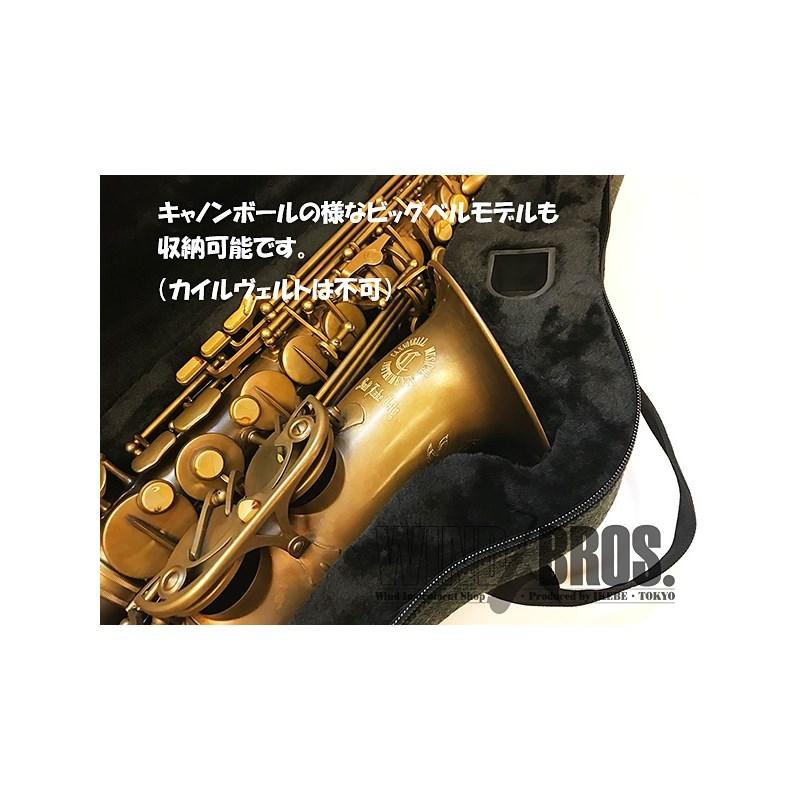 Beaumont 【お取り寄せ品】ボーモント アルトサックス用セミハードケース キャンディ・バンド |  | 03