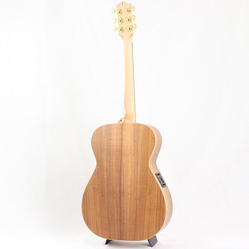 MATON EBG808 Artist #29675｜ikebe｜03