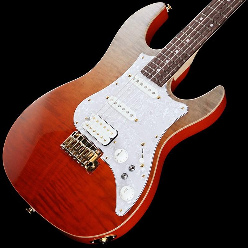 FUJIGEN EOS-FM-R/VV/06