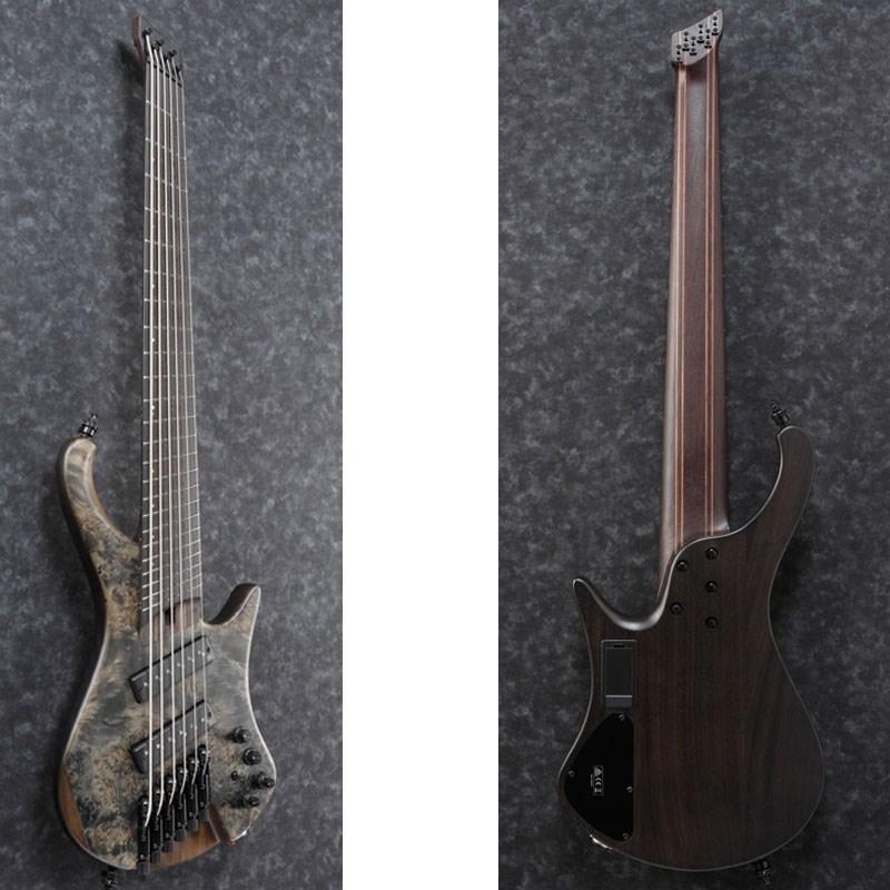 Ibanez Bass Workshop EHB1506MS-BIF : イケベ楽器店 - 通販 - Yahoo