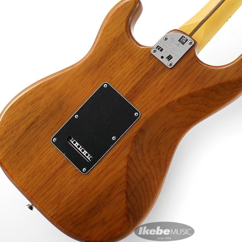 ギター Fender USA American Standard エレキギター】Fenderのアメリカンスタンダードシリーズに新製品が登場