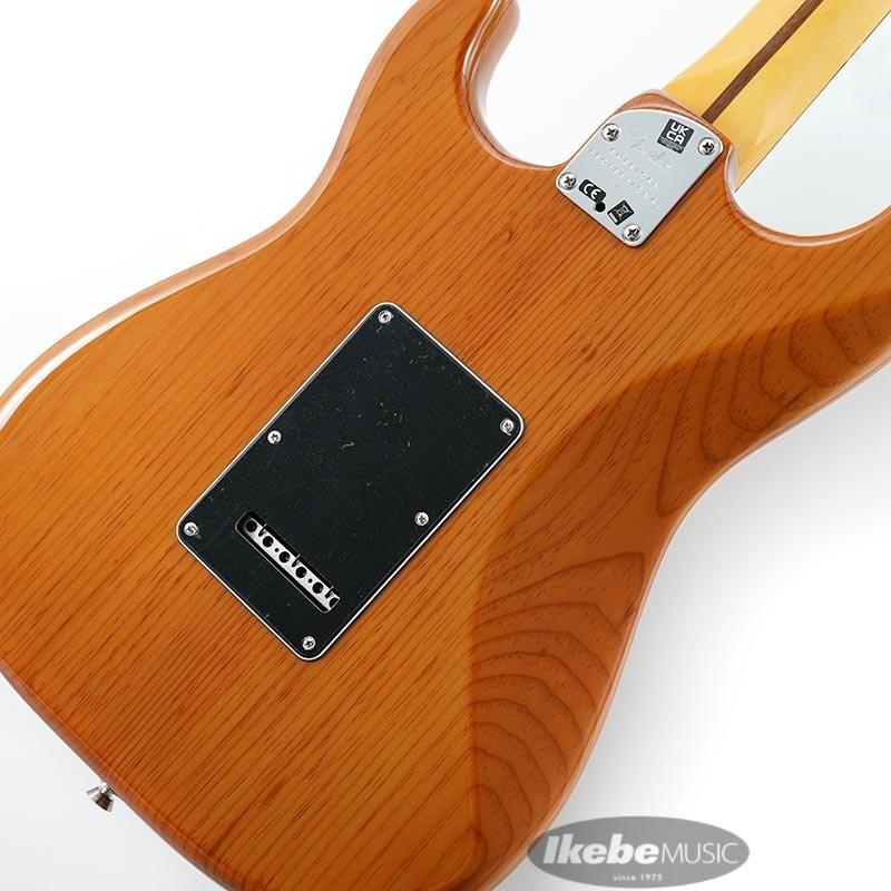 Fender（フェンダー） Fender USA American Professional II