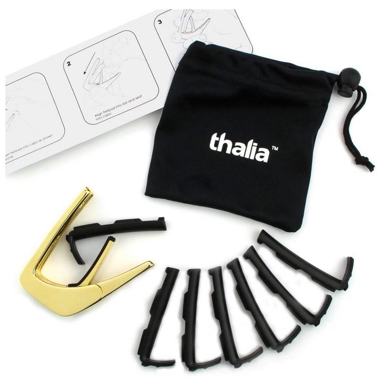 Thalia Capo 24K Gold with Golden Gears on Tiger Eye [新仕様] タリアカポの画像
