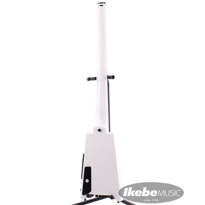 STEINBERGER Spirit XT-25 (WH) [5-strings Bass] : イケベ楽器店