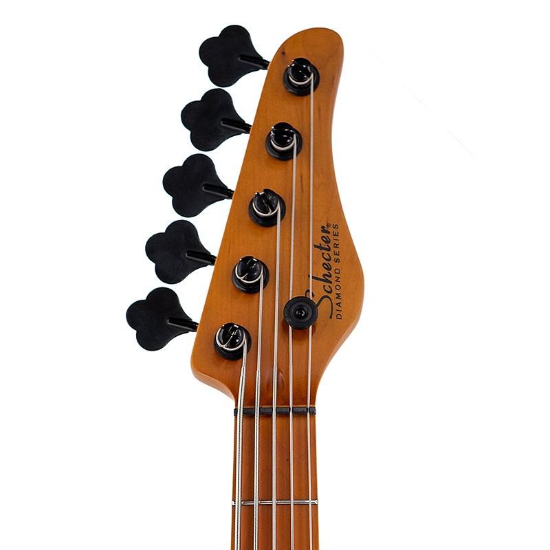 SCHECTER SCHECTER MODEL-T SESSION 5 [AD-MT-SS-5] (ANS) : イケベ