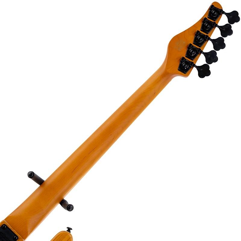 SCHECTER SCHECTER MODEL-T SESSION 5 [AD-MT-SS-5] (ANS) 【初売り