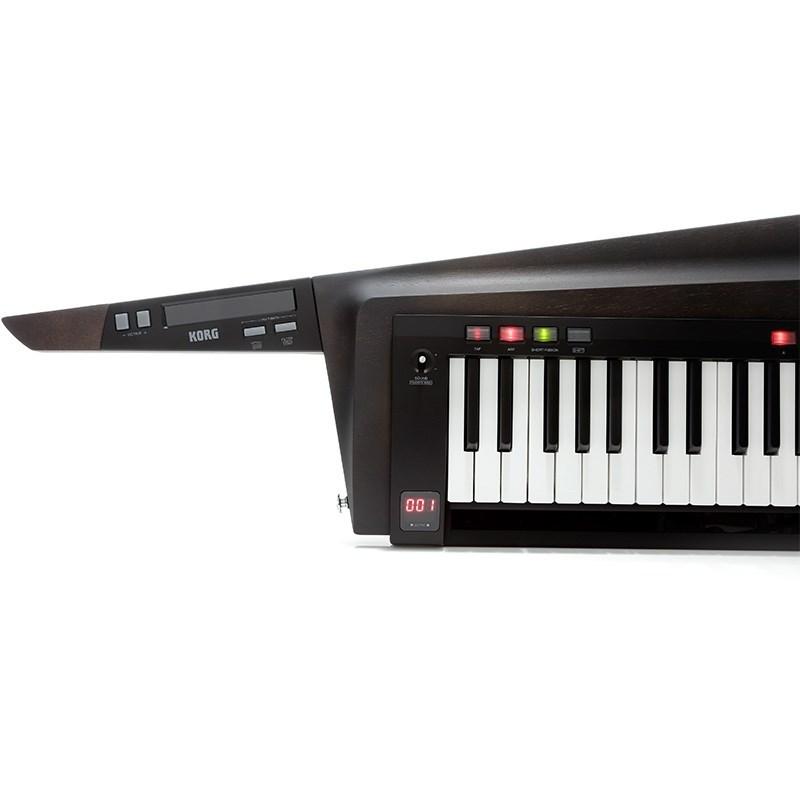 KORG（コルグ） KORG RK-100S 2 BK (ブラック) (KEYTAR) : イケベ楽器