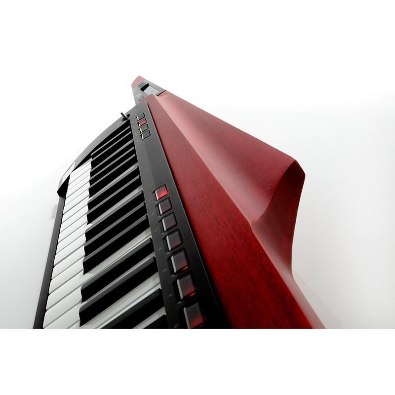 RK-100S 2 RD(レッド)(KEYTAR) 【ソーマ】