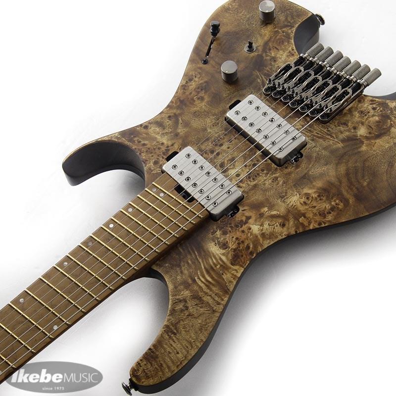 Ibanez（アイバニーズ） Ibanez QX527PB-ABS [SPOT MODEL] : イケベ