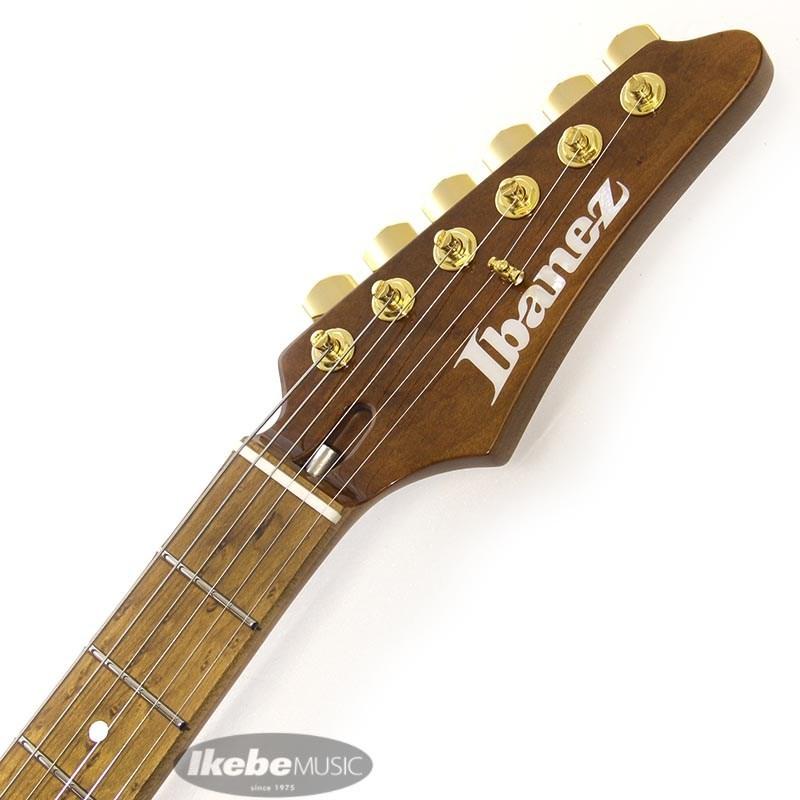 Ibanez LB1-VL [Lari Basilio Signature Model] : イケベ楽器店 - 通販