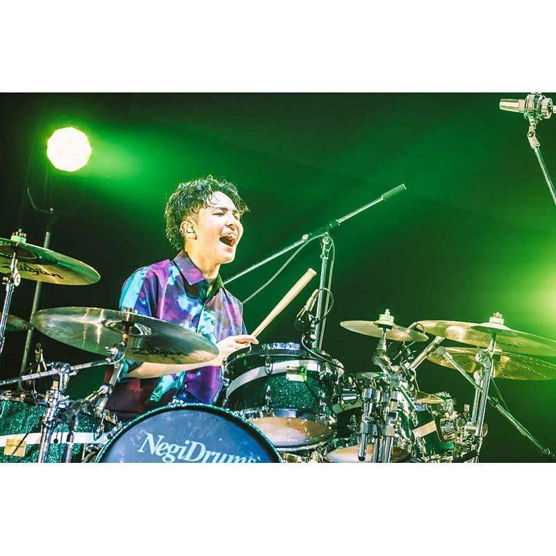 Negi Drums NBNK1465D [Novelbright ねぎ Model] 【直筆サイン