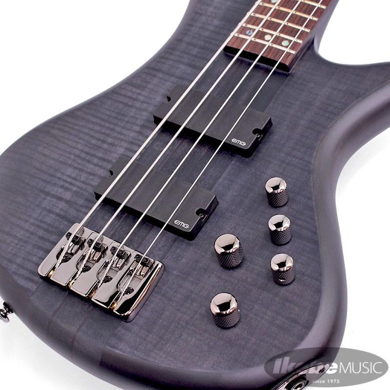SCHECTER SCHECTER STILETTO STUDIO 4 [AD-SL-ST4] (See-thru Black