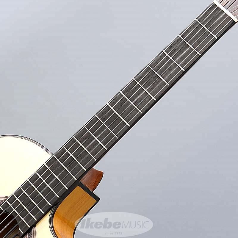 Cordoba Iberia Series GK Studio 【エレガット】 コルドバ : イケベ 