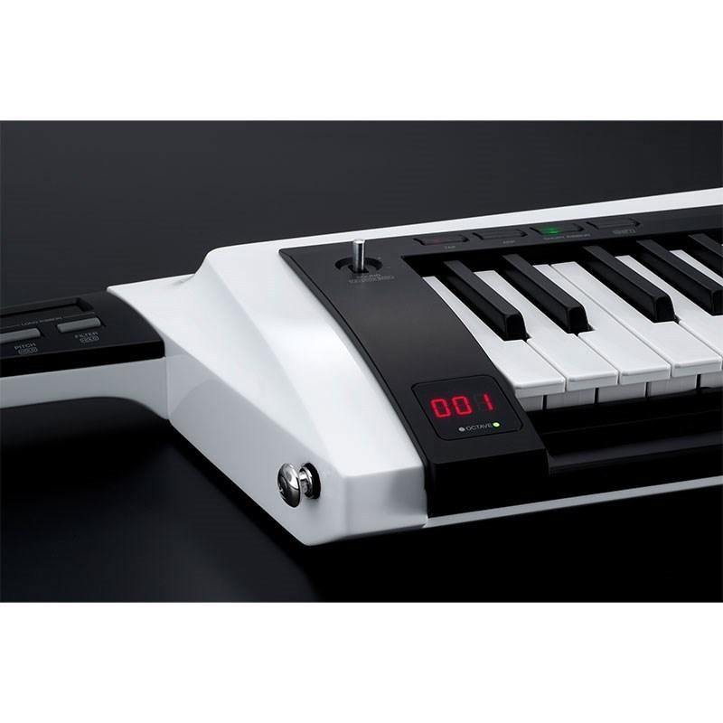 KORG RK-100S 2WH(グロス・ホワイト)(KEYTAR) : イケベ楽器店 - 通販 