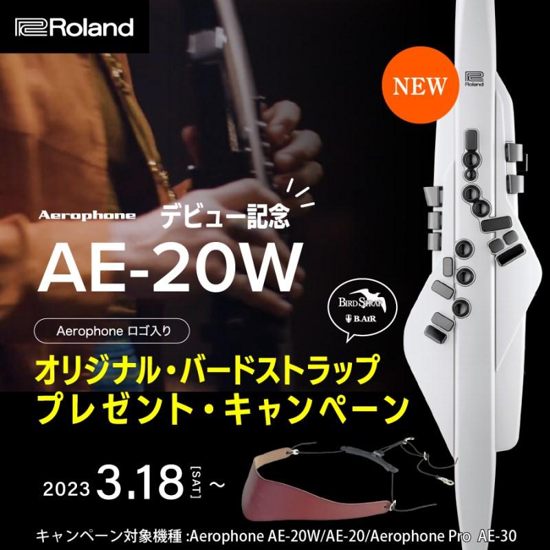 Roland Aerophone [AE-20]【数量限定！交換用マウスピース付き 