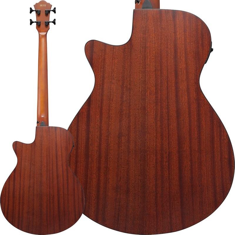 Ibanez（アイバニーズ） Ibanez AEGB30E-NTG : イケベ楽器店 - 通販