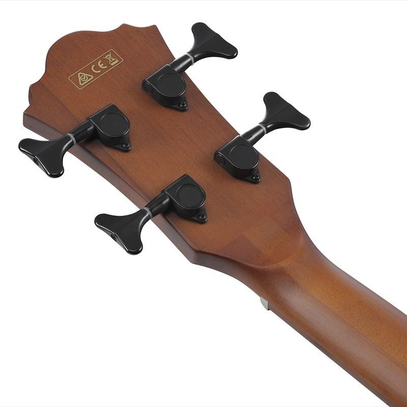 Ibanez（アイバニーズ） Ibanez AEGB30E-NTG : イケベ楽器店 - 通販