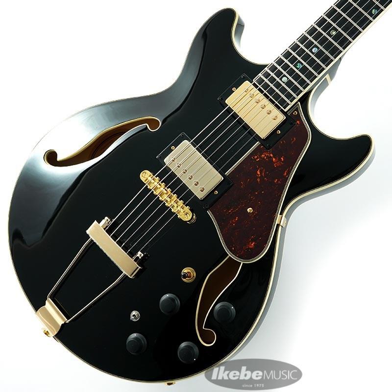 Ibanez（アイバニーズ） Ibanez Artcore Expressionist AMH90-BK