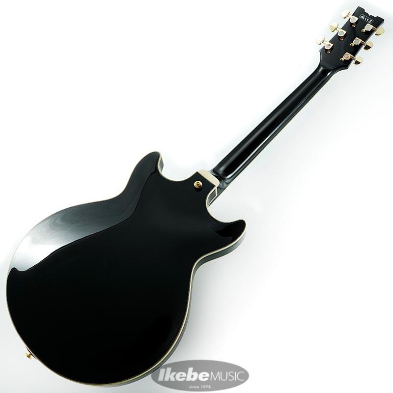 Ibanez（アイバニーズ） Ibanez Artcore Expressionist AMH90-BK