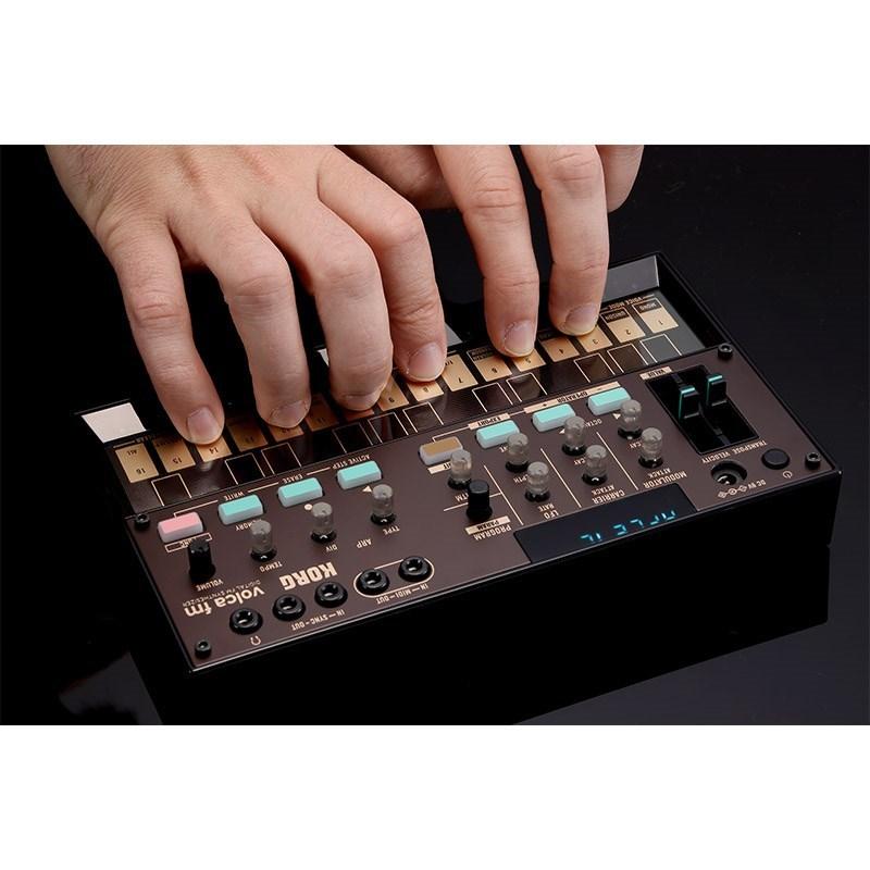 KORG（コルグ） KORG volca fm2 (VOLCA-FM2) : イケベ楽器店 - 通販