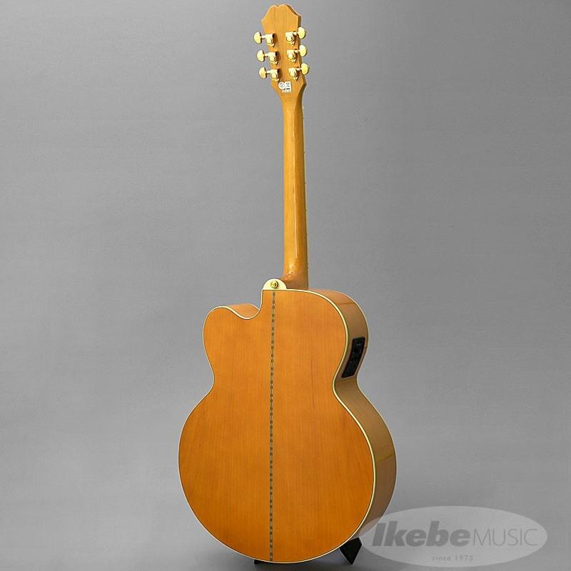 Epiphone 【数量限定エピフォン・アクセサリーパック