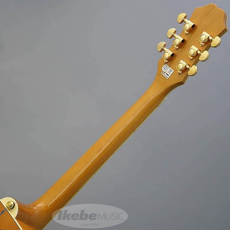 エピフォンj200ECスタジオ、ソフトケース、アンプ、新品の弦付き j-200 ギター アコースティック エピフォン」の人気商品一覧