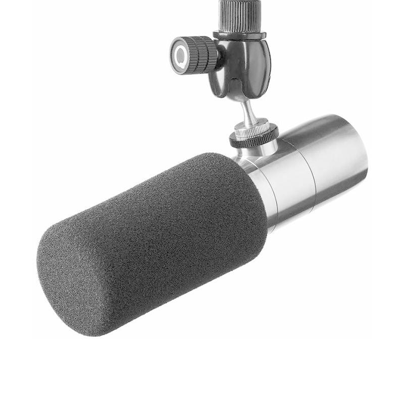 EARTHWORKS ETHOS Stainless Steel(ステンレススチール) : イケベ楽器