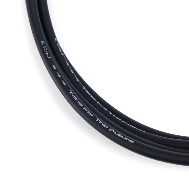 CAJ 旧CAJ Cable (I-I/3m) 【旧ロゴスペシャルプライス！】 | CAJ | 02